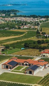 Le Morette viinamarjaaiad Garda järve kaldal Luganas